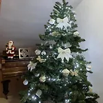 Casa Pino